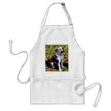 Buldog Sitting with Mouth Open Apron