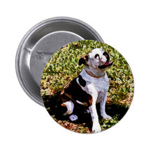Buldog Sitting with Mouth Open Pins
