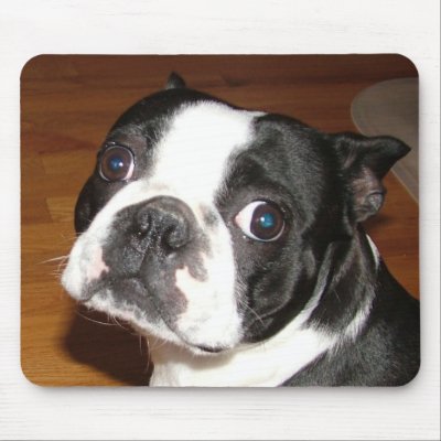 Bulged Eye Mouse Pad by paulkostyz