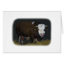 bull card