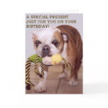 Bull dog birthday card