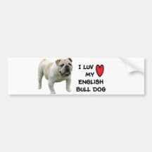 Bull Dog Bumper Sticker" I love my Iguana"