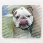 Bull Dog Designs Mouse Pad