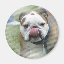 Bull Dog Designs Round Magnet