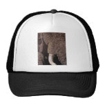Bull Elephant Hat