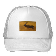 Bull Elk at Sunrise Trucker Hat