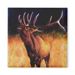 Bull Elk Call Of The Wild, Magnet