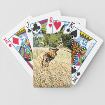 Bull Elk Card Decks