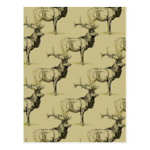 Bull Elk Hunters Wildlife Big Game Hunting Antlers Post Cards
