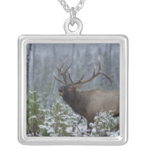 Bull Elk in snow calling, bugling, Yellowstone Pendant