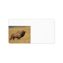Bull Elk with Head Back Address Label