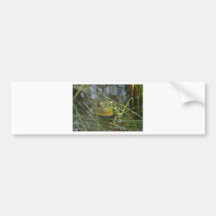 Bull Frog Bumper Stickers