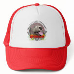 bull hats