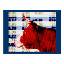 Bull Market Postcard