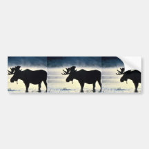 Bull moose bumper stickers