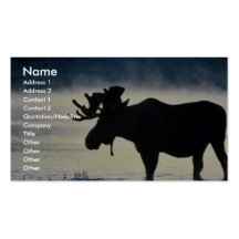 Bull moose business card templates