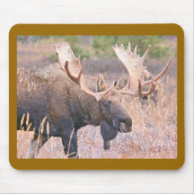 BULL MOOSE MOUSE PAD