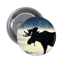 Bull moose pin