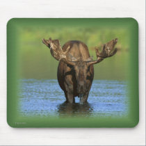 bull_moose_water_mousepad mousepads