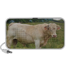 Bull Mp3 Speaker