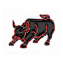 Bull Post Card