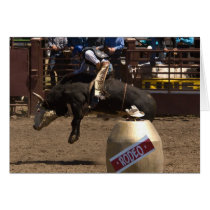 Bull rider hangs on for dear life cards