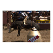 Bull rider hangs on for dear life posters