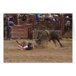 Bull rider meets angry bull cards