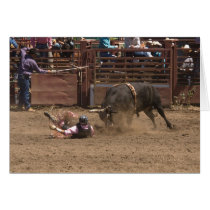 Bull rider meets angry bull cards