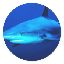 Bull Shark Round Stickers