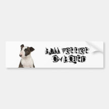 Bull-terrier à bord autocollant pour voiture