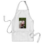 Bull Terrier Aprons