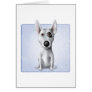 Bull Terrier