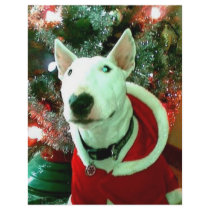 bull terrier christmas personalized flyer