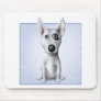 Bull Terrier