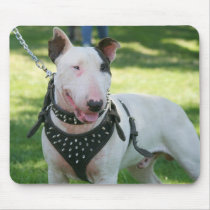 Bull Terrier  mousepad