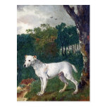Bull Terrier Painting - Vintage Fine Art Postcards