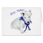 Bull Terrier Puppy Sailor Cards