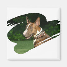 Bull Terrier Square Magnet