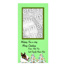 Bull Terriers are Awesome Customized Photo Card