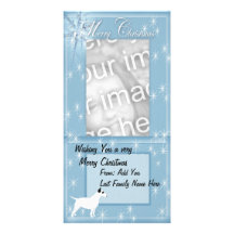 Bull Terriers Rock !! Custom Photo Card