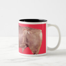 Bull with three horns, from Avrigney mugs