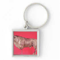 Bull with three horns, from Avrigney keychains