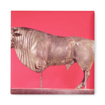 Bull with three horns, from Avrigney magnets