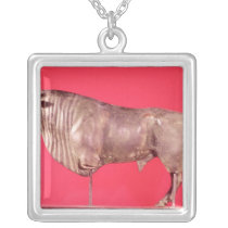 Bull with three horns, from Avrigney necklaces