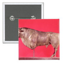 Bull with three horns, from Avrigney buttons