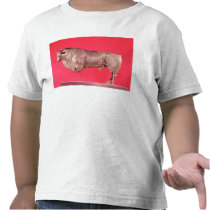 Bull with three horns, from Avrigney t-shirts