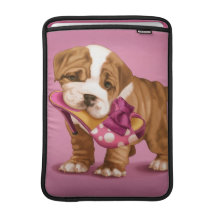 Bulldg et chaussure anglais poche macbook air