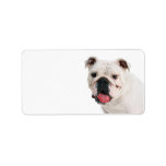 Bulldog Address Label