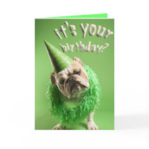 bulldog birthday card